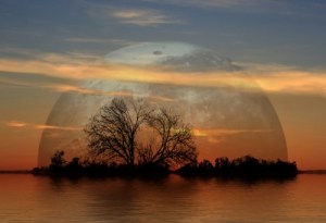 Bildquelle: Peter Kirschner  / pixelio.de