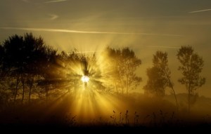 Bildquelle: uschi dreiucker  / pixelio.de