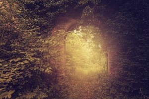 Bildquelle: Wimmer Ferdinand  / pixelio.de