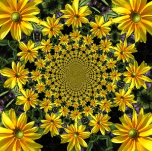 442223_web_R_K_by_Helga Schmadel_pixelio.de