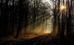 angieconscious  / pixelio.de