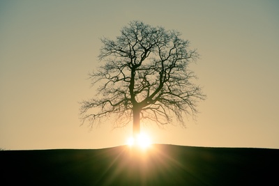 793110_web_r_k_by_martin gebhardt_pixelio.de (1)