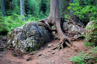 801906_web_r_k_b_by_thomas max müller_pixelio.de